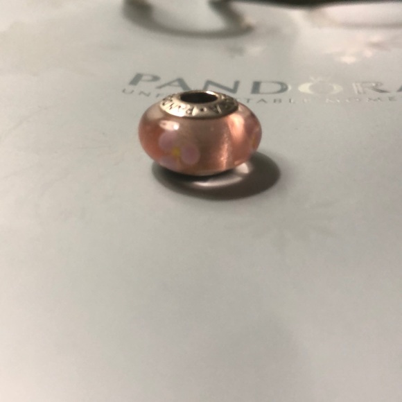 Pandora Charm (retired) - Picture 3 of 3